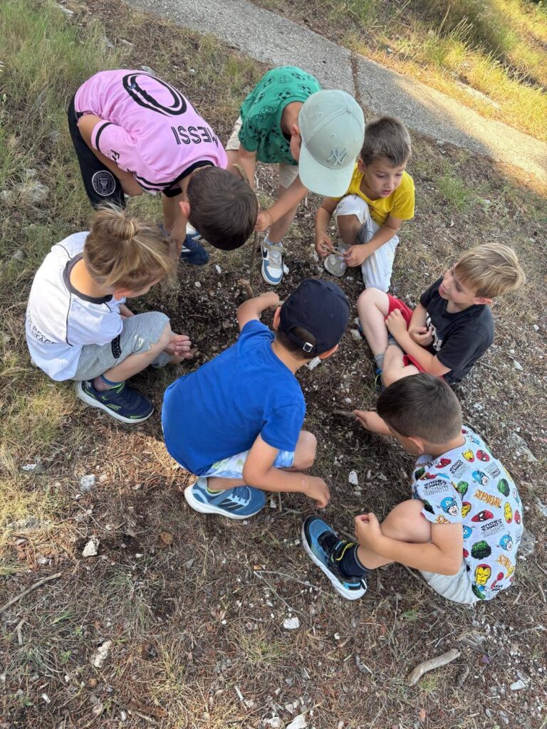Piknik i igra u borovoj šumi u Zablaću